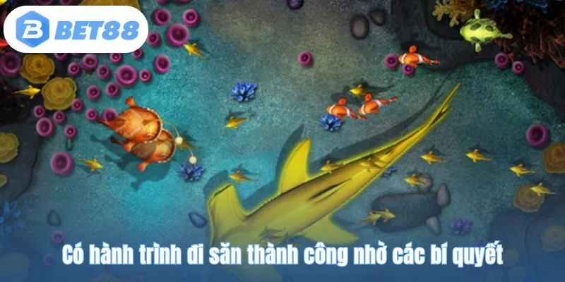 Có hành trình đi săn thành công nhờ các bí quyết