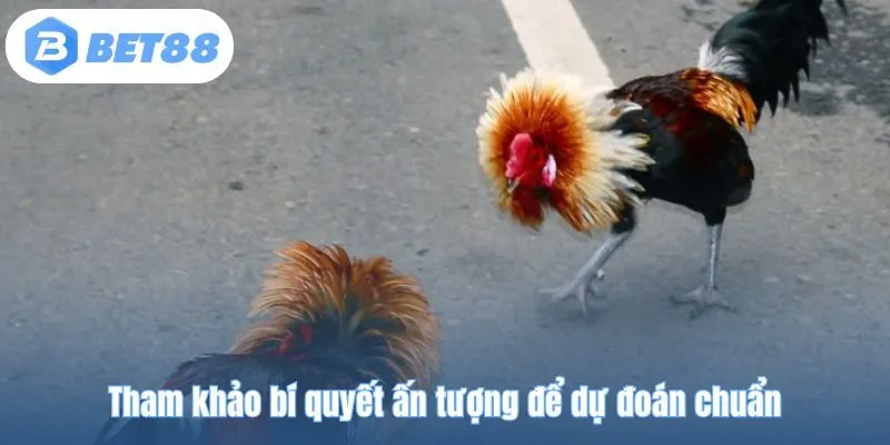 Tham khảo bí quyết ấn tượng để dự đoán chuẩn