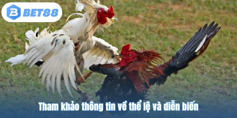 Tham khảo thông tin về thể lệ và diễn biến